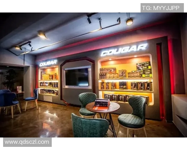 V5战队转型之路揭秘精英赛特别报道展现新篇章