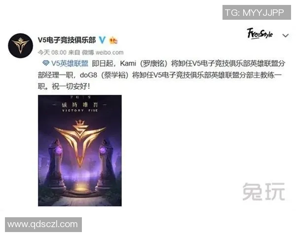 esports数据S15LOL赛季EDG战队实力分析与比分数据深度解读